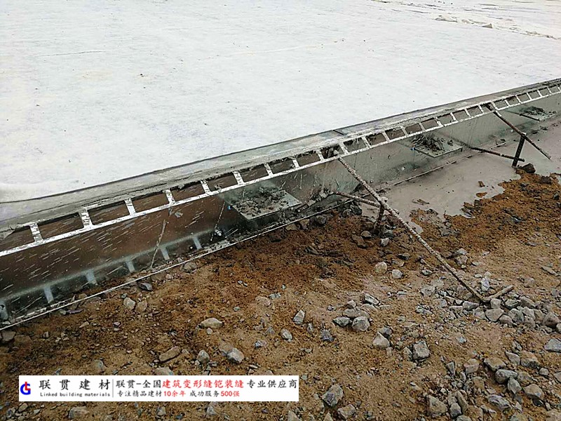 临沧市铠装缝案例